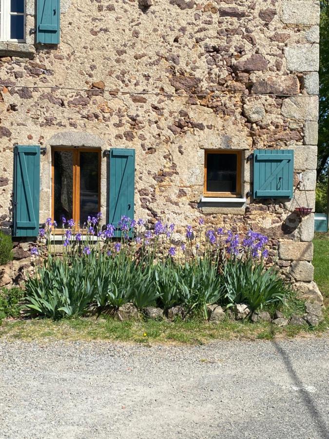 Bachellerie Bed and Breakfast Chéronnac Eksteriør billede